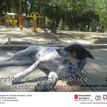 Lee más sobre el artículo Universidad y espacio público. ¿Una relación por pensar?